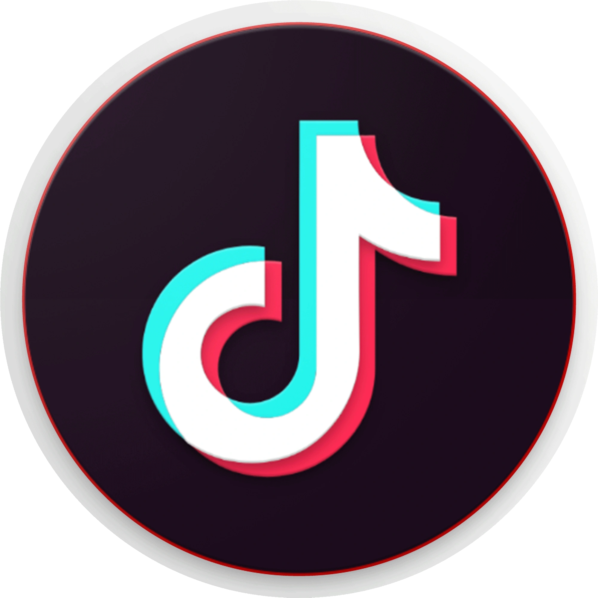TikTok Video Downloader